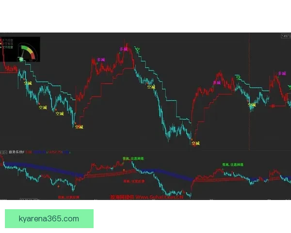 开云体育投注全面解析与技巧分享助力玩家稳健盈利